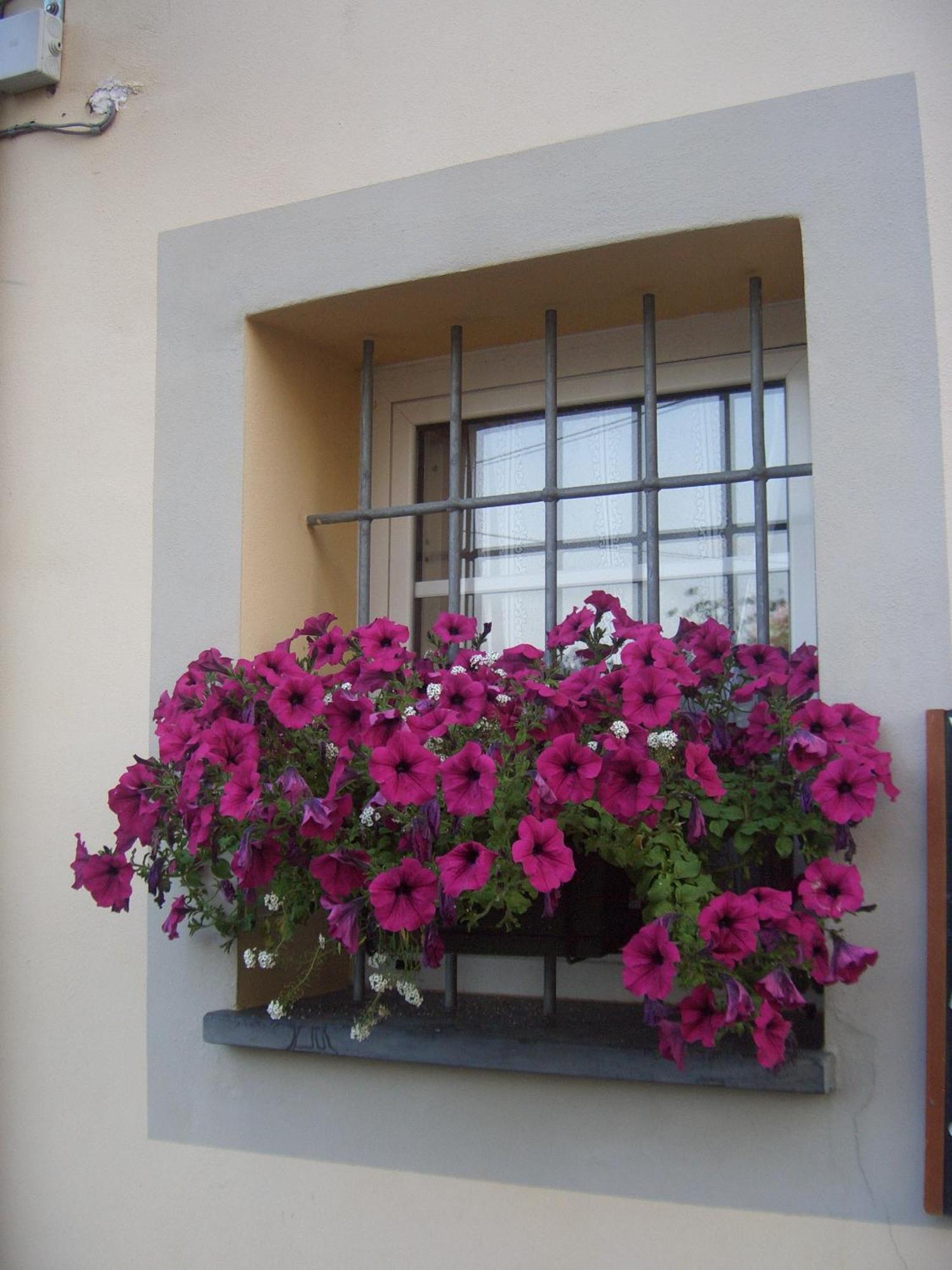 Hotel Paese Corvara Beverino Εξωτερικό φωτογραφία